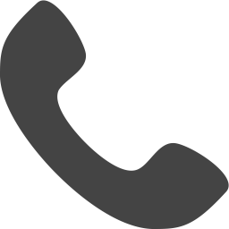 Phone Icon